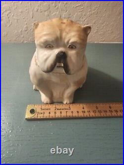 Antique 1900's English Ceramic BullDog Tobacco Container/Humidor-Very Good