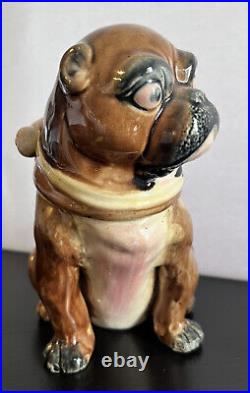 Antique English Majolica Pug Bulldog Dog Humidor Figural Tobacco Jar 1800's ASIS