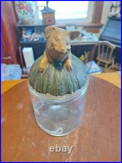 Antique Glass Tobacco Humidor With Johann Maresch Pottery Terra Cotta Pig Lid