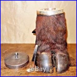 Antique Taxidermy Buffalo Hoof Tobacco Jar Humidor Silver Plate Lid Scoop