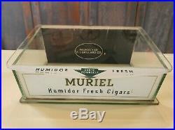 Beautiful Vintage Muriel Glass Cigar Humidor