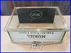 Beautiful Vintage Muriel Glass Cigar Humidor