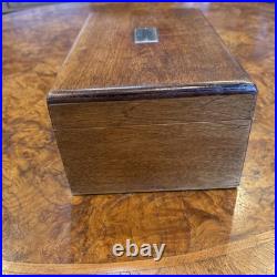 Gorgeous Antique Victorian 19th Century Wood Stash Humidor Cigar Tobacco