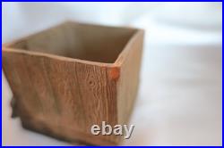 Outstanding Terracotta Pug/Bulldog Dog withPuppies Small Tobacco Humidor/Box Antiq