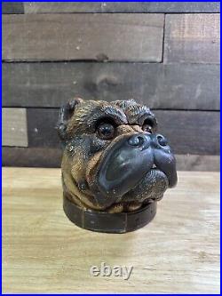 Rare Antique Terra Cotta Bulldog Head Humidor/Tobacco Jar