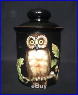 Rare Antique Vintage Japan Noritake Owl Leaf Acorn Relief Porcelain Humidor Jar