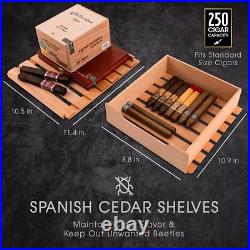 Schmécké 250 Cigar Cooler Humidor with Precise Humidity Control, Stainless Steel
