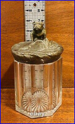 Vintage Art Nouveau English Bulldog Lidded Glass Tobacco Jar, Cigar, Humidor